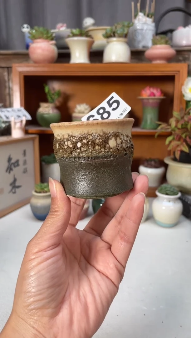 瓷片685知木小芳花盆