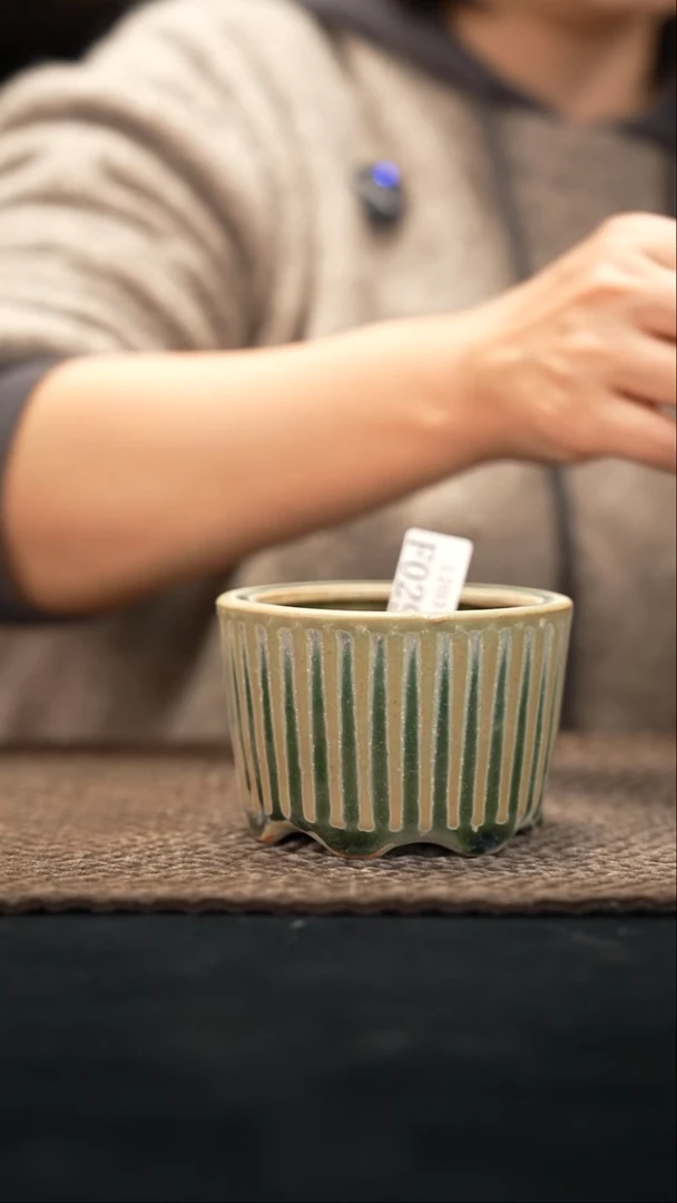 口径花盆-12-3-029特