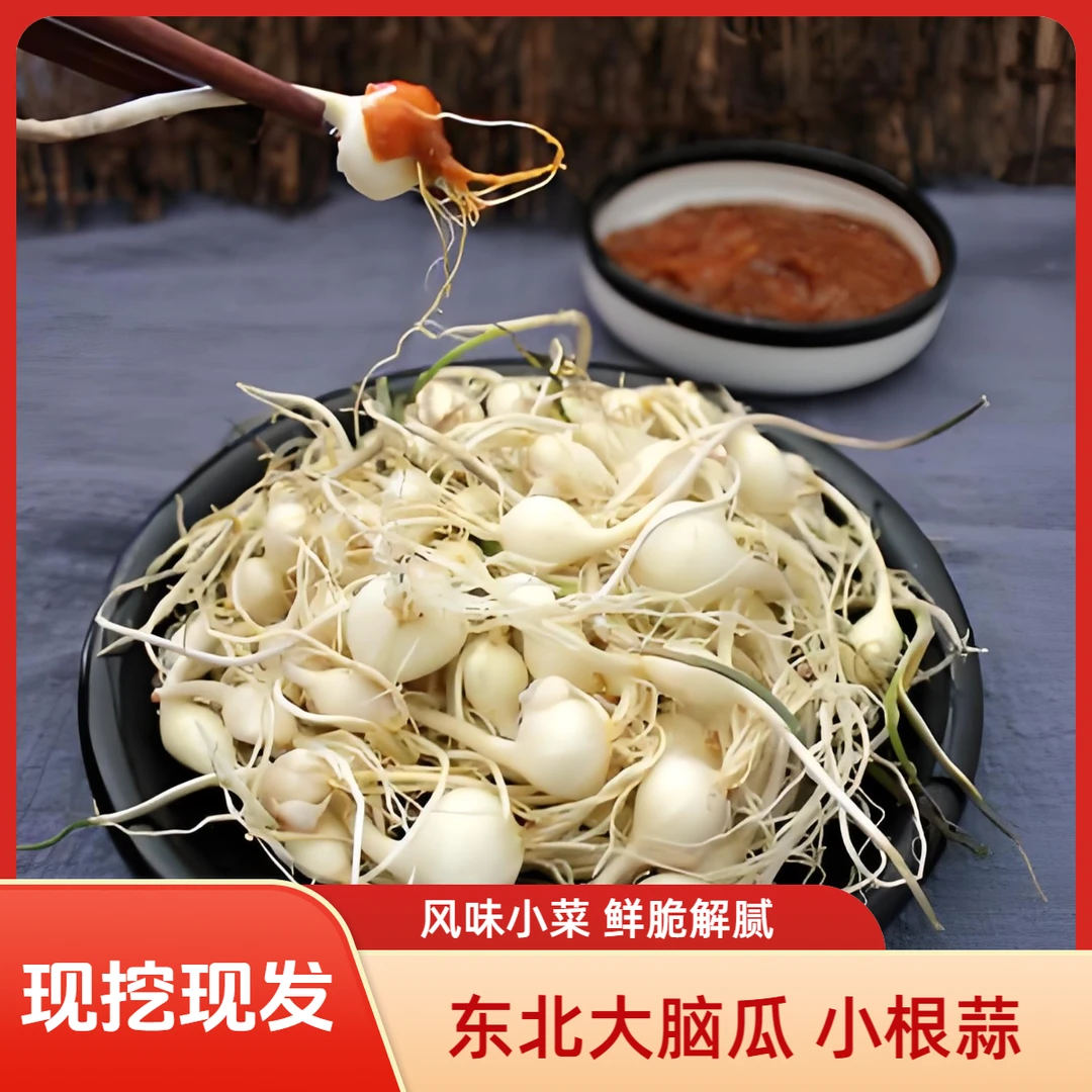 东北新鲜大脑瓜 小根蒜 现挖现发 东北特产山野菜 薤白