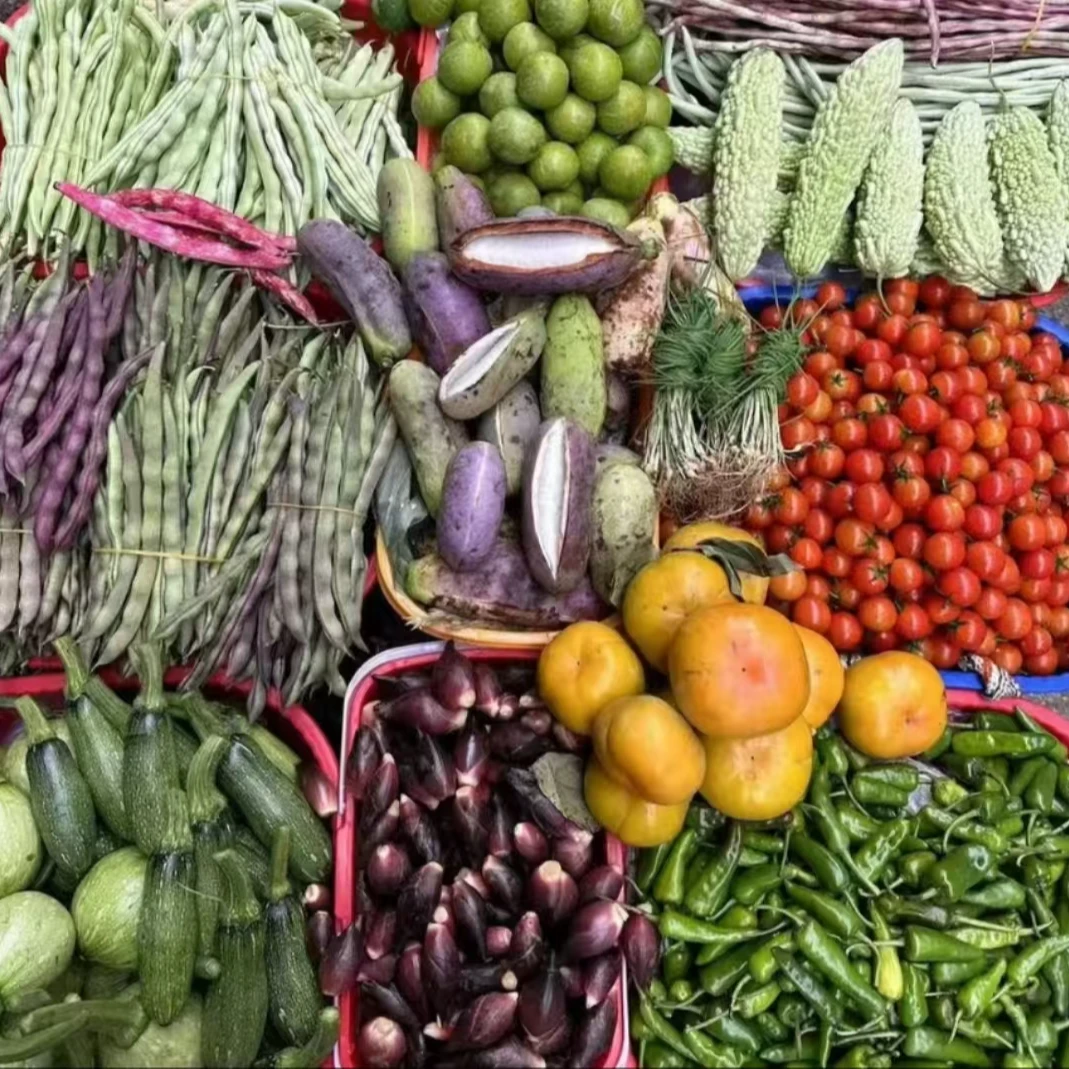 新化本地瓜果时蔬应季蔬菜