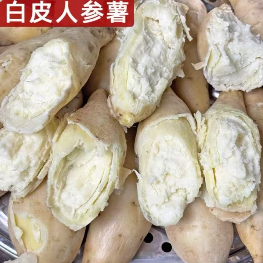 【牛奶人参薯】新鲜现挖奶香人参薯白心红薯 鸡蛋板栗薯粉糯香甜ZB
