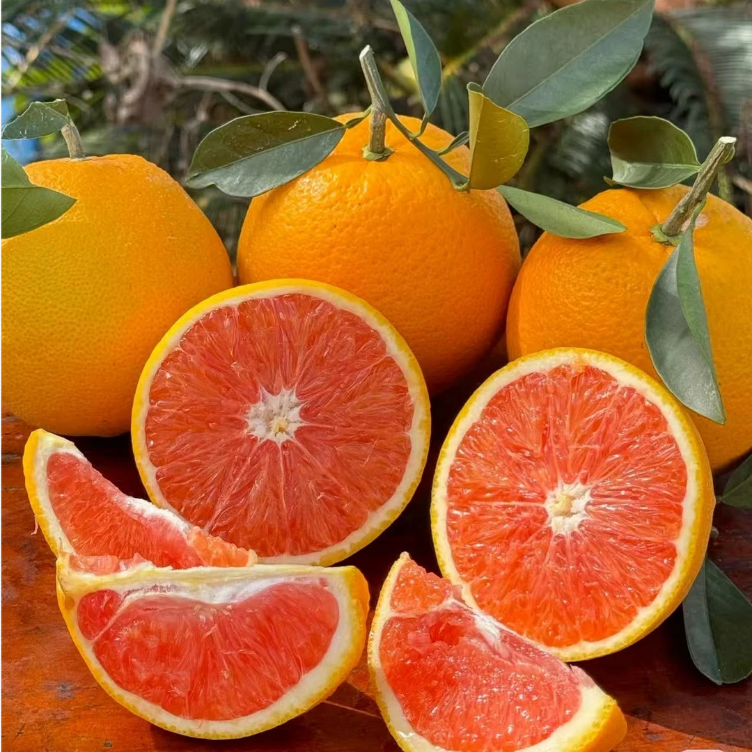 【达吾水果】卡拉红肉脐橙5斤/8斤家庭装