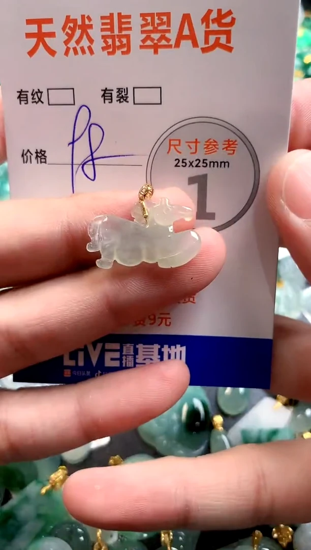 颈饰未镶嵌翡翠26100243