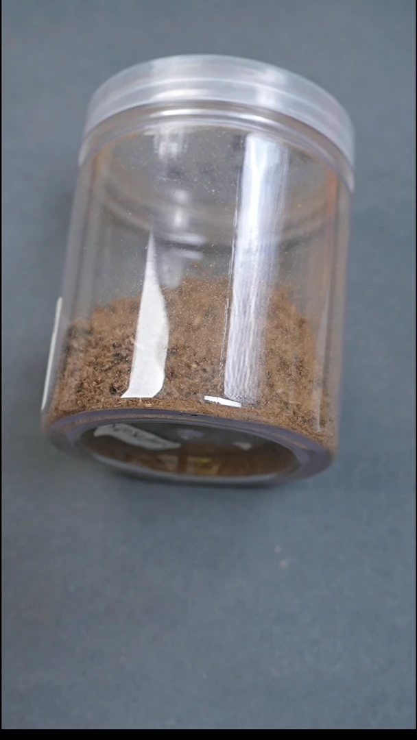 沉香沉香碎屑达拉干帝王香外放浓郁1g