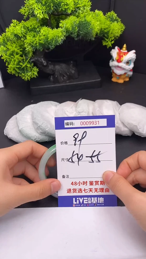 未镶嵌手镯翡翠0009931