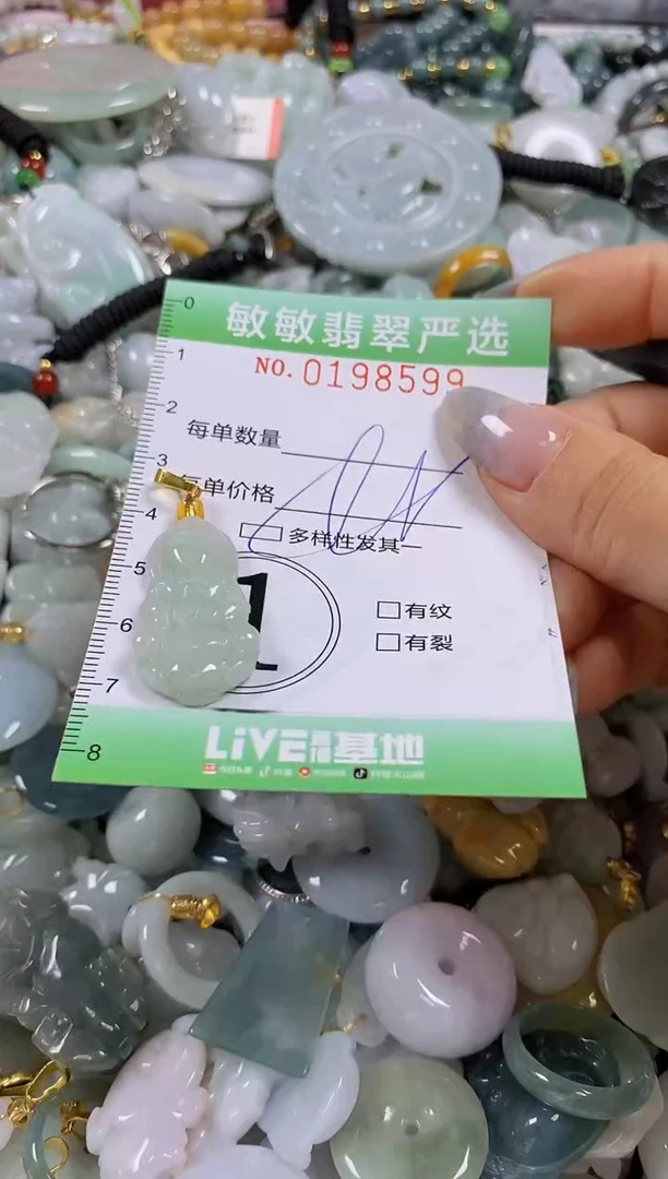 翡翠未镶嵌颈饰闪购0198599多样性发其一