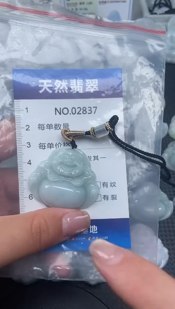 颈饰未镶嵌翡翠纯天然A货翡翠2837