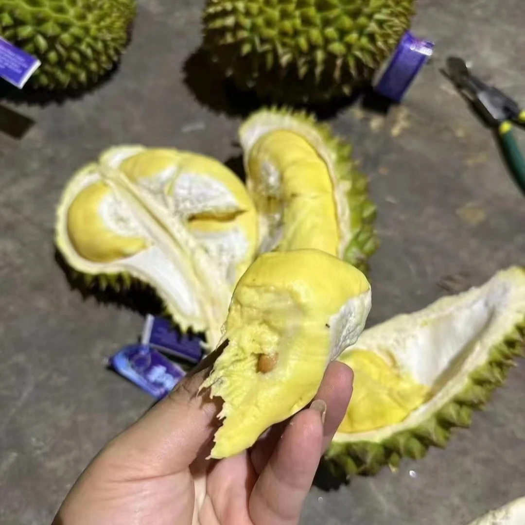 【1颗/3.5-4斤】【D】青尼榴莲 保四房·少房包赔/仅太原榆次可拍