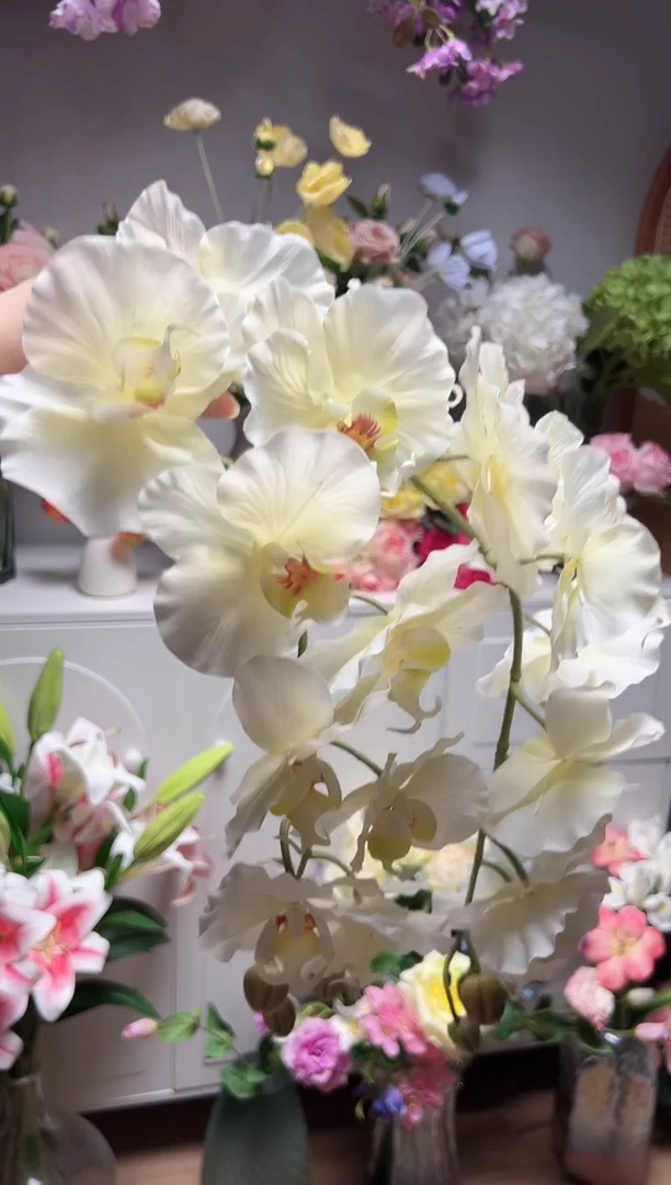 2枝白色9头蝴蝶兰