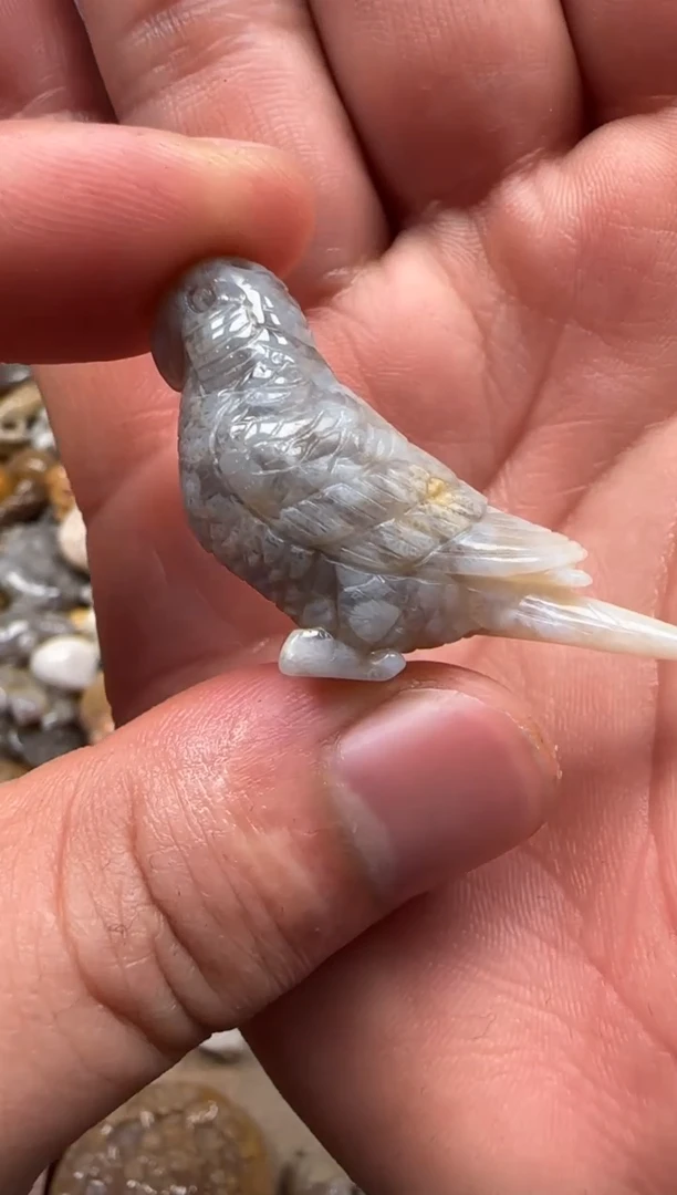 【闪购商品】硅化珊瑚（珊瑚玉）颈饰未镶嵌041