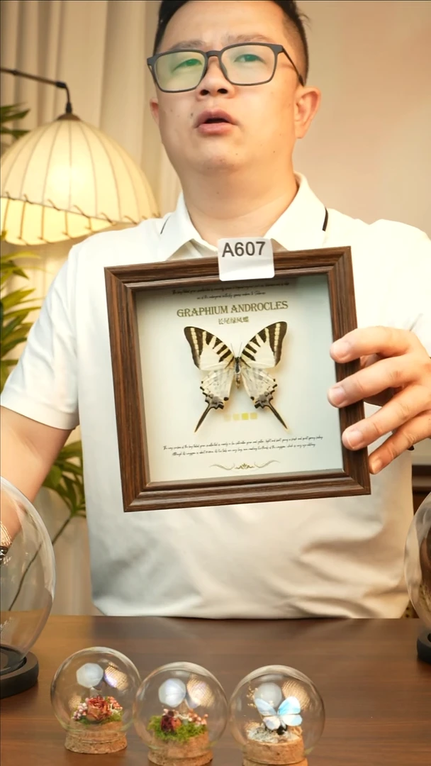 长尾绿凤蝶（6寸方黑色新款框）A607