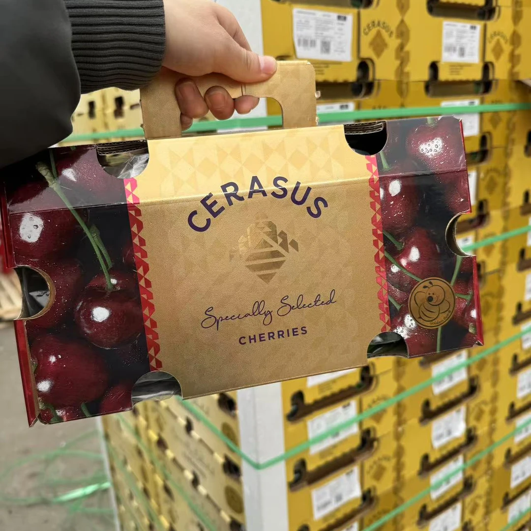 二箱装金蜜蜂海运智利车厘子桑提娜 3JDD 8斤净果装 内附果径卡