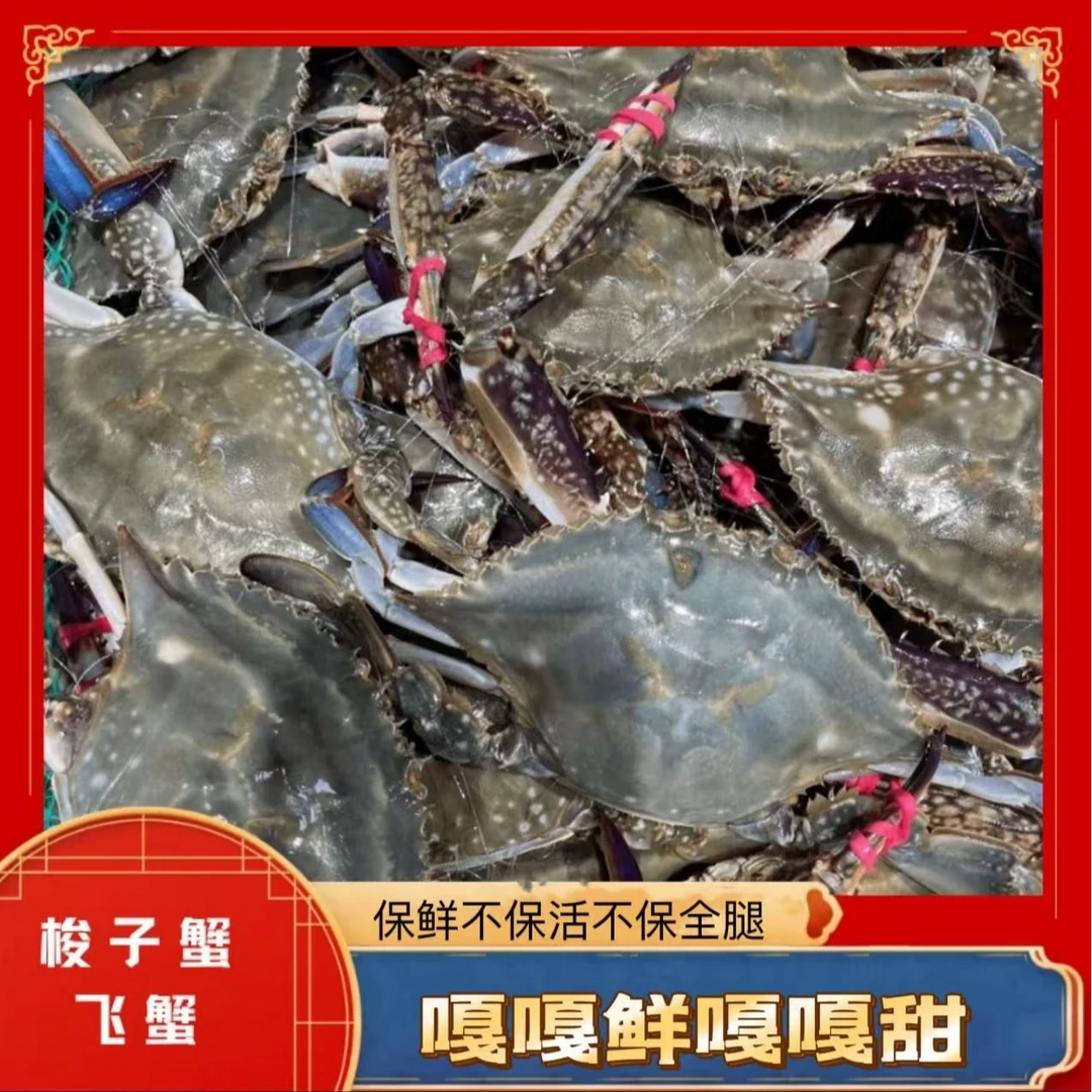 梭子蟹小公蟹3斤【保鲜不保活】1只2两5左右嫌小缺腿勿拍