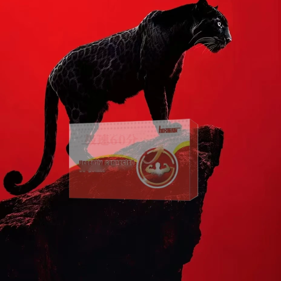 一日千里不复以往 2025热销便携玩具 大哥贴摩托贴