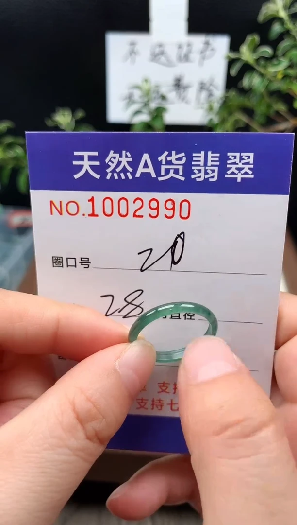 未镶嵌戒指翡翠20#