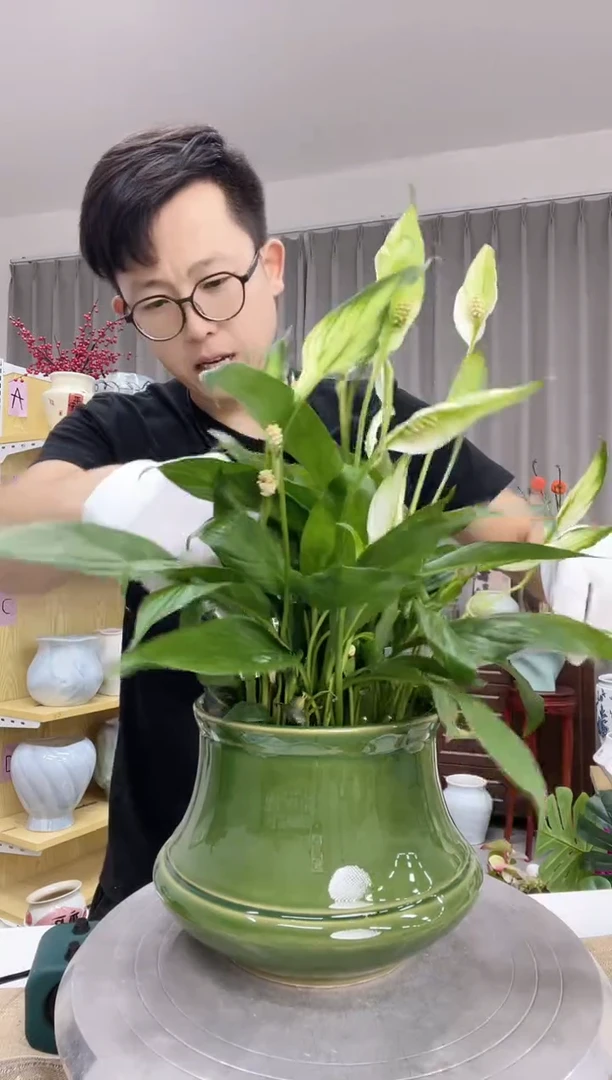 陶瓷花盆6.16直播链接   点