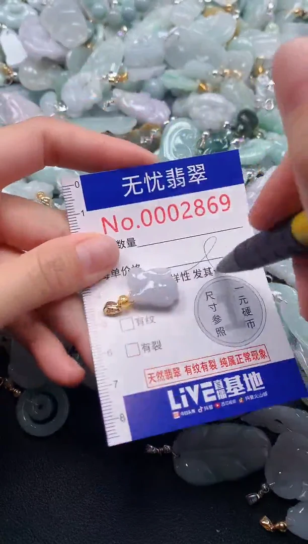 颈饰未镶嵌翡翠2869