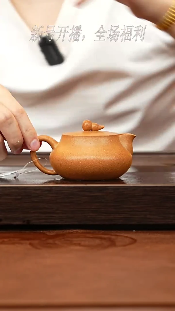 茶壶紫砂19y26葫芦