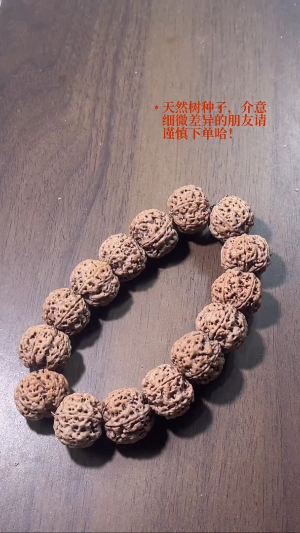 手串金刚菩提满天星梅花20