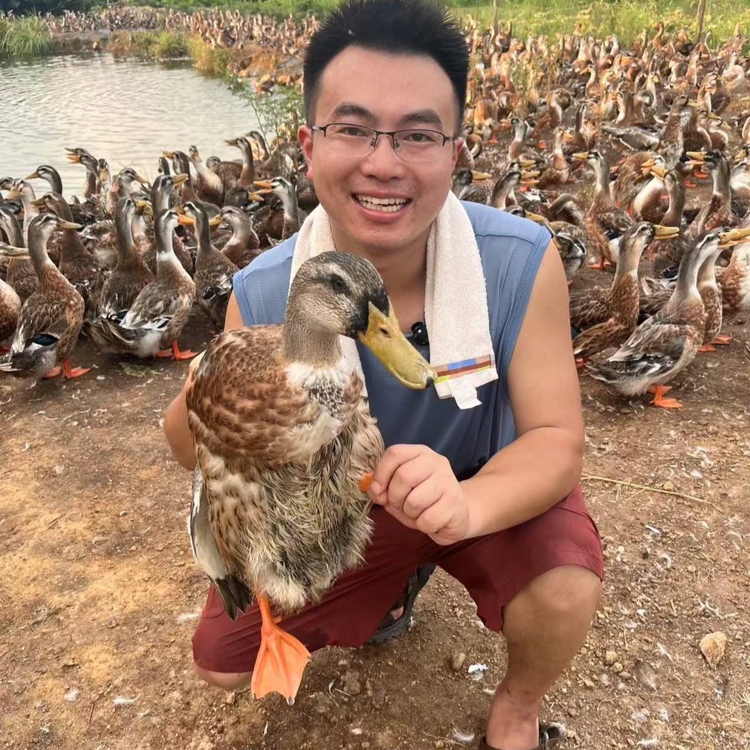 【到手两只】稻田放养麻鸭   适合煲汤 红烧.