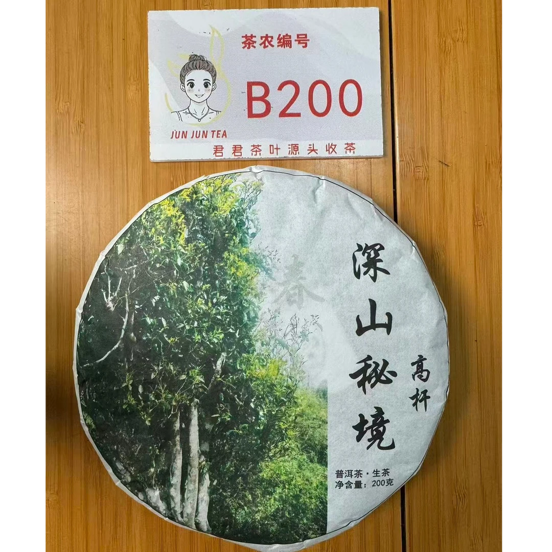 2024年耿马 春 荒山高杆混采普洱生茶饼200g 12月24-B200