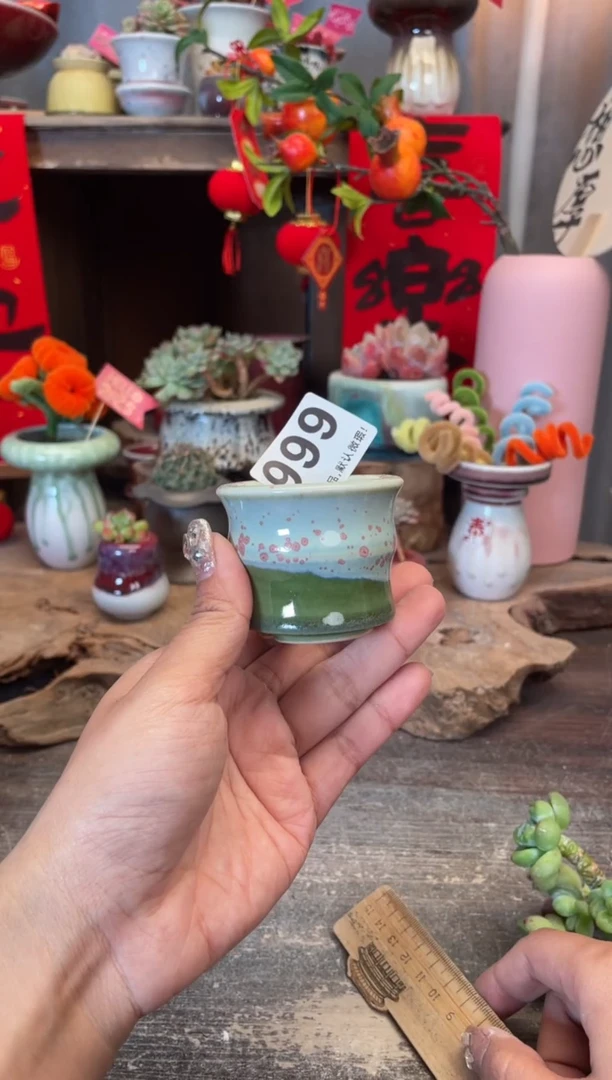 【闪购商品】摆件999知木小芳花盆