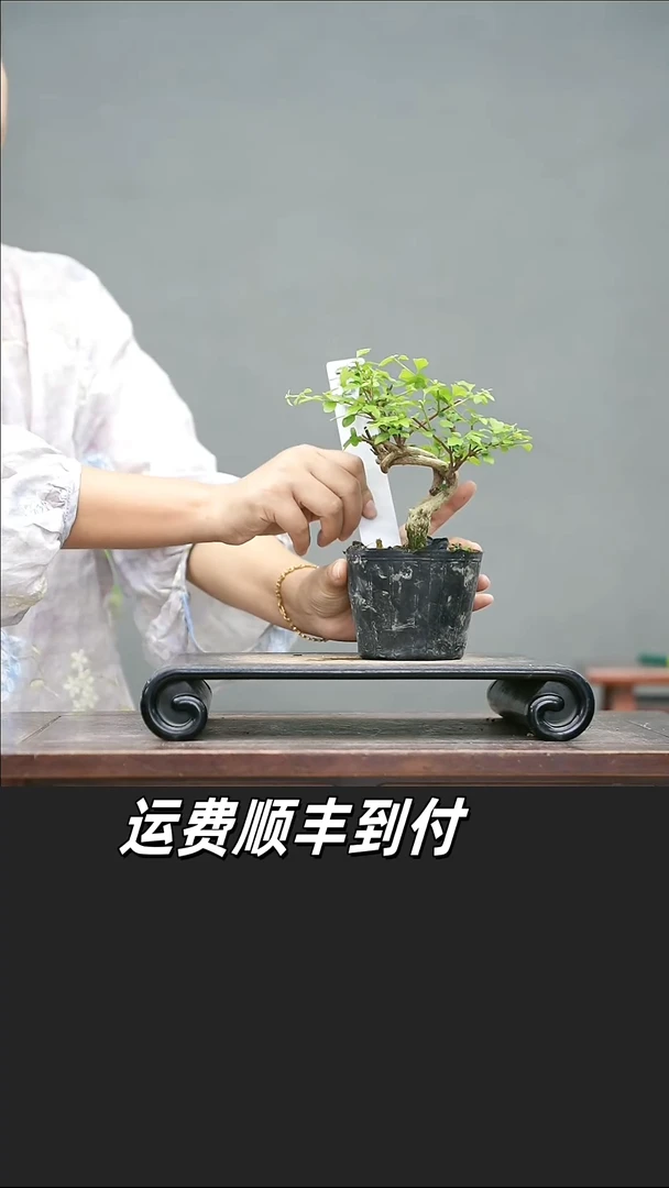 天**淡39
