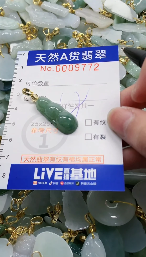 颈饰未镶嵌翡翠纯天然a货翡翠
