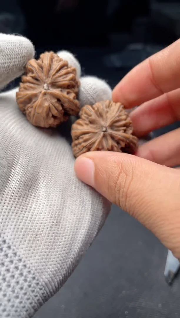 把件文玩核桃a273      蚂蚁王  33尺