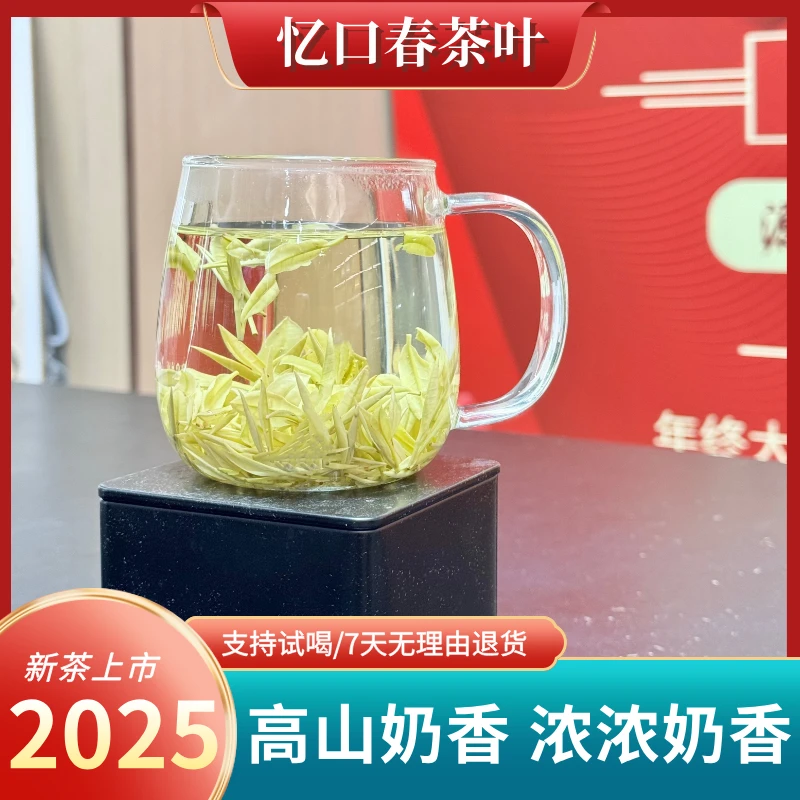【自喝款浓浓奶香】2025年新茶春茶原产地品质高山安吉白茶