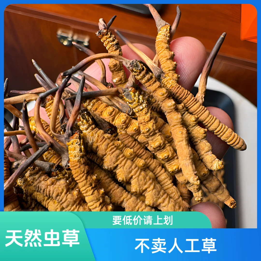 【中草4根/克】索南三多冬虫夏草虫草西藏那曲专卖藏族人产地直供