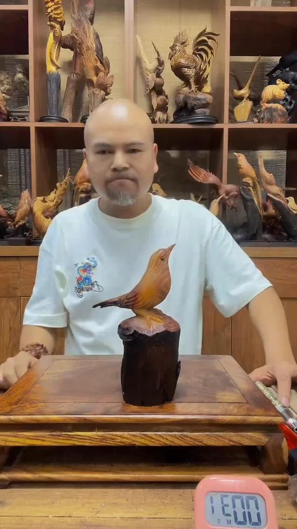 松木黄* 定向 黄生