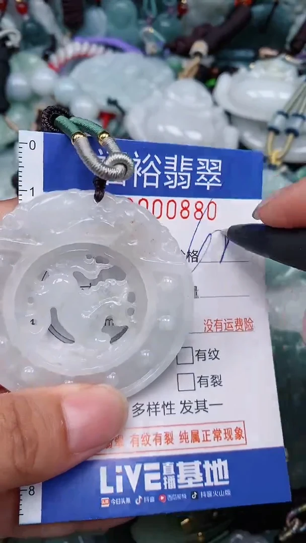 翡翠未镶嵌颈饰...0000880