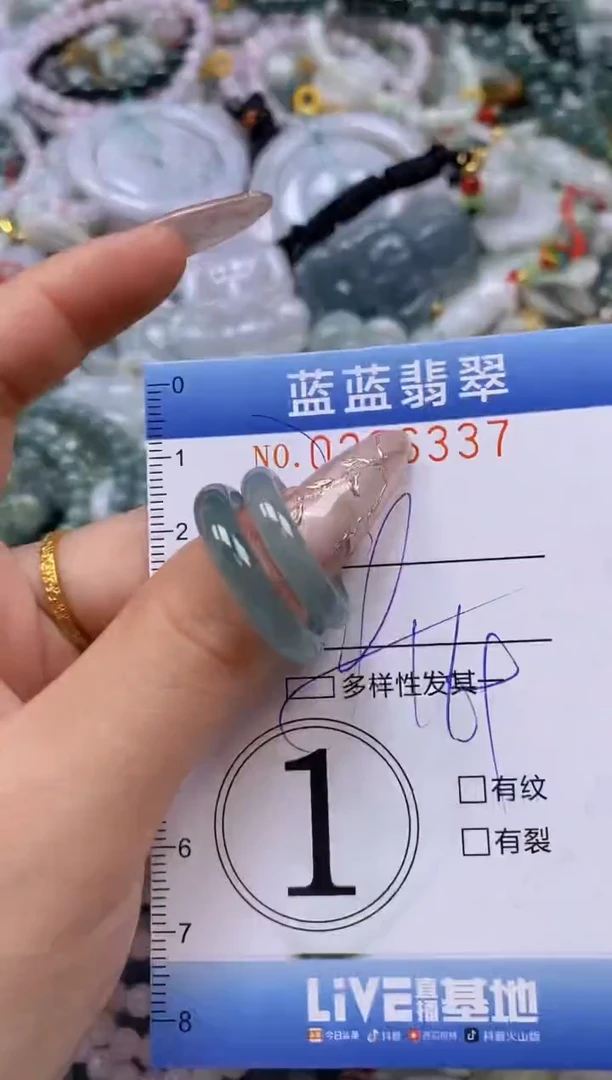翡翠未镶嵌颈饰闪购0296337