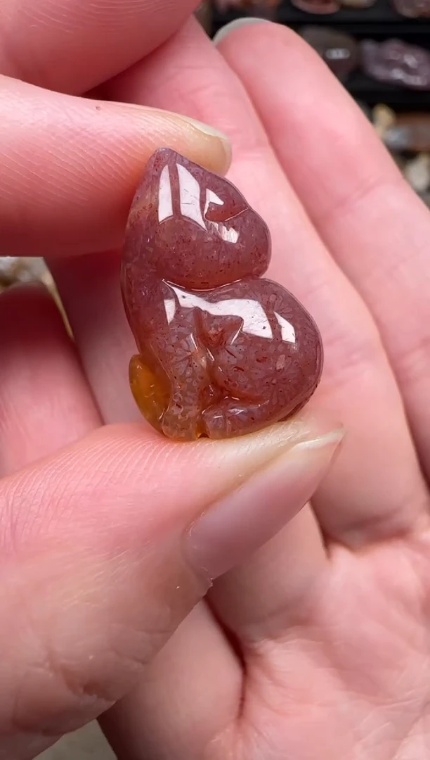 颈饰未镶嵌硅化珊瑚（珊瑚玉）801