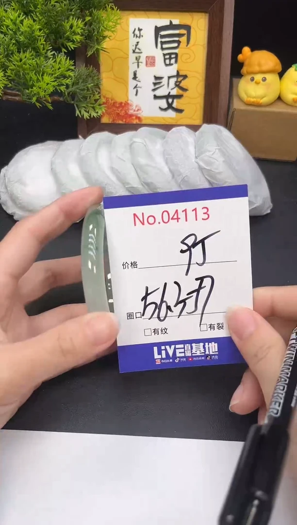 未镶嵌手镯翡翠4113