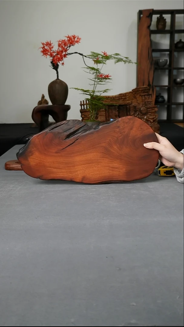 缅甸花梨木干泡盘 44-20-2.3cm