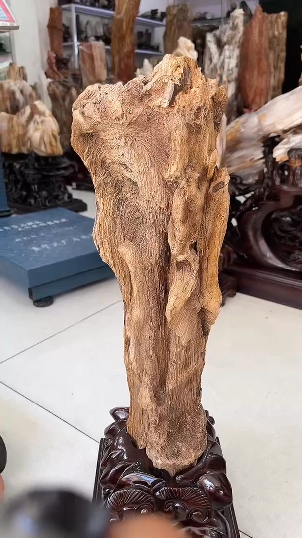 缅甸天然树化玉摆件