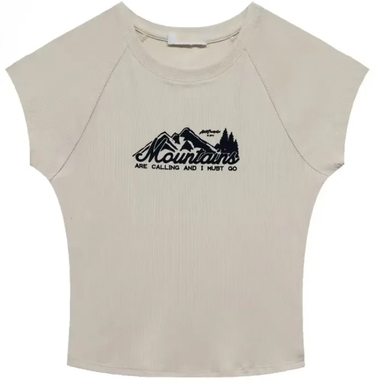 高级感植绒印花上衣2025新款春夏季简约设计感休闲显瘦插肩袖T恤