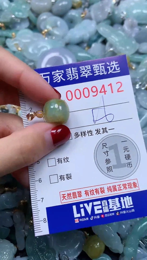 颈饰未镶嵌翡翠9412