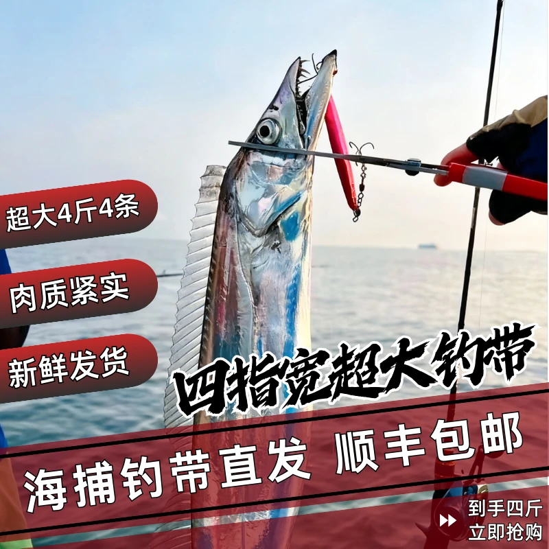 大鱼王一斤/条 3条送一条共4条 青岛油带鱼 新鲜  顺丰冷链包邮