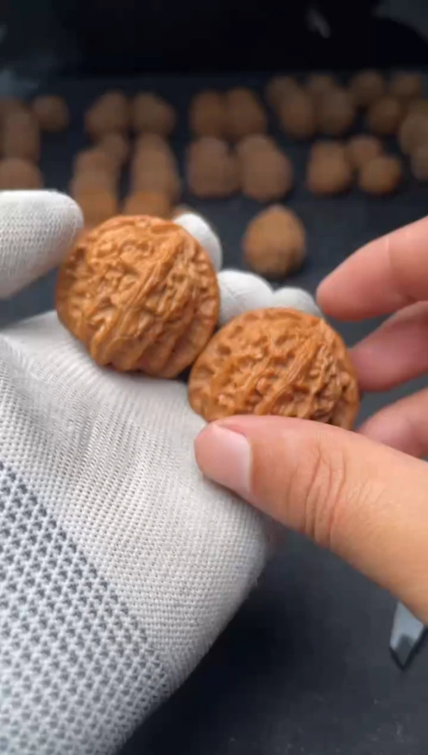 核桃a182  白狮子41尺