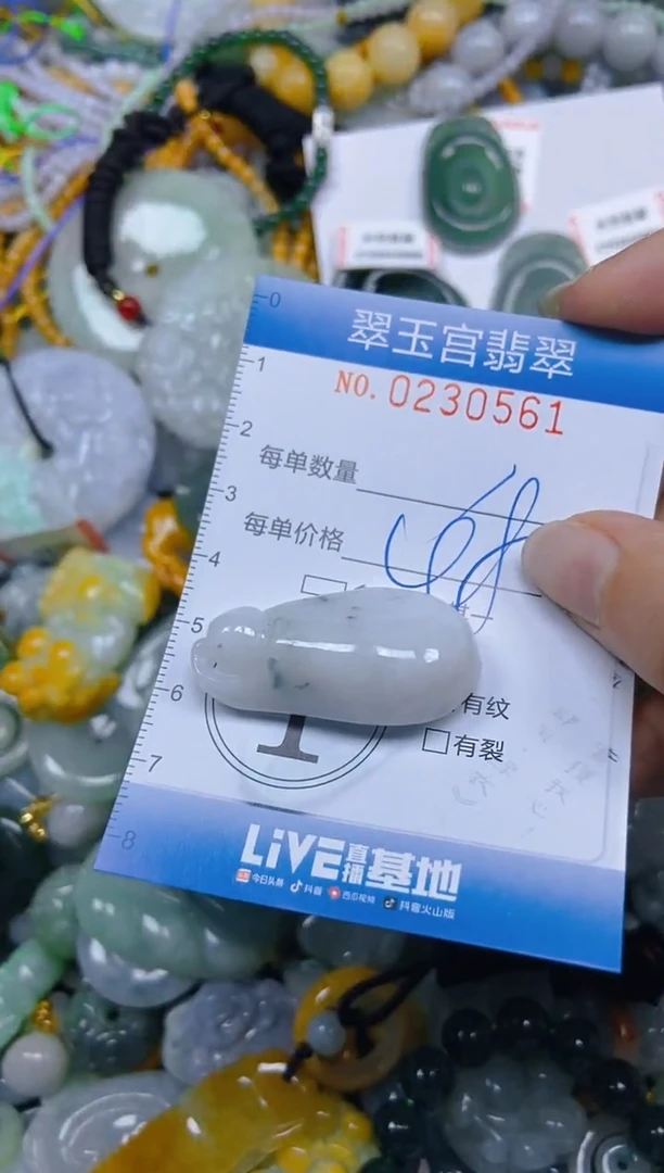 颈饰未镶嵌翡翠闪购C0230561