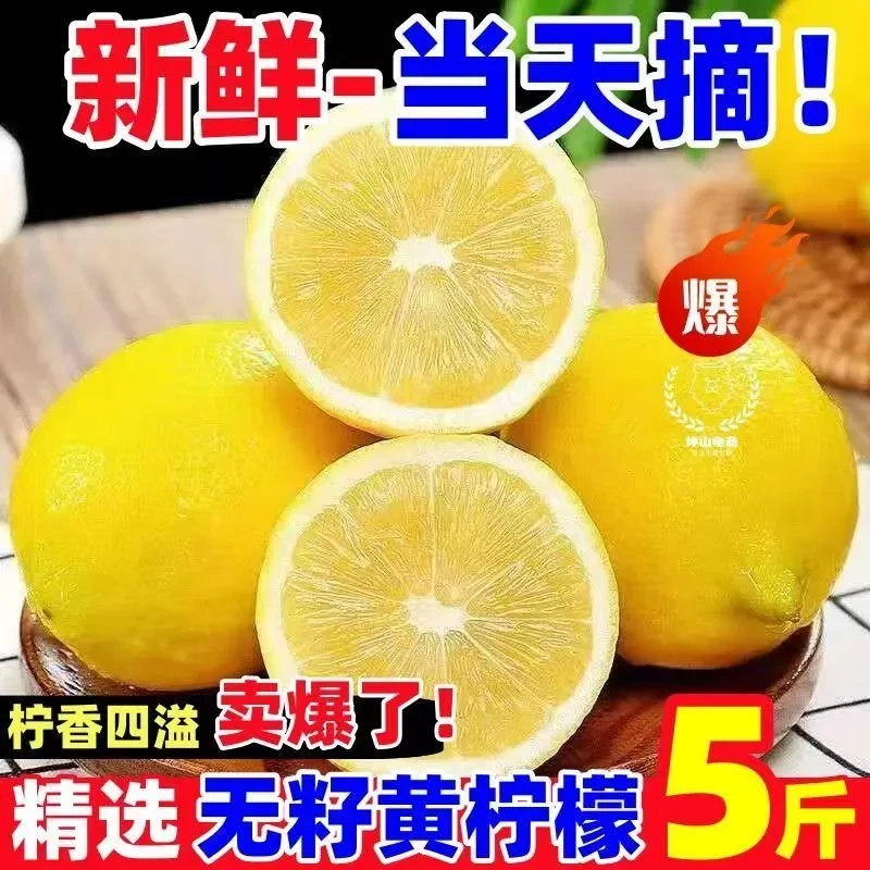 【新鲜黄柠檬】正宗广东香水无籽黄柠檬奶茶店专用非安岳薄皮柠檬
