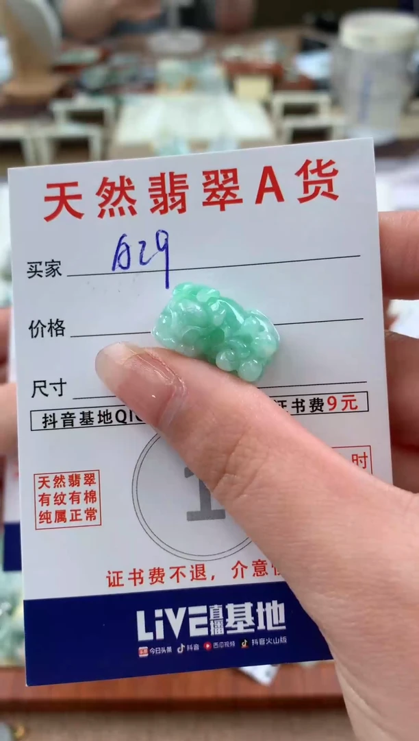 【闪购商品】翡翠颈饰未镶嵌天然A货翡翠挂件