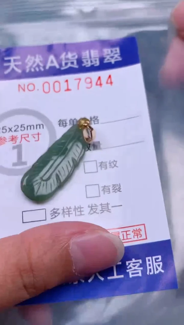 翡翠未镶嵌吊坠(赠链)1