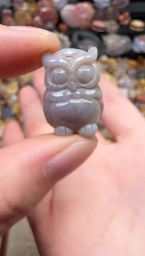 颈饰未镶嵌硅化珊瑚（珊瑚玉）073