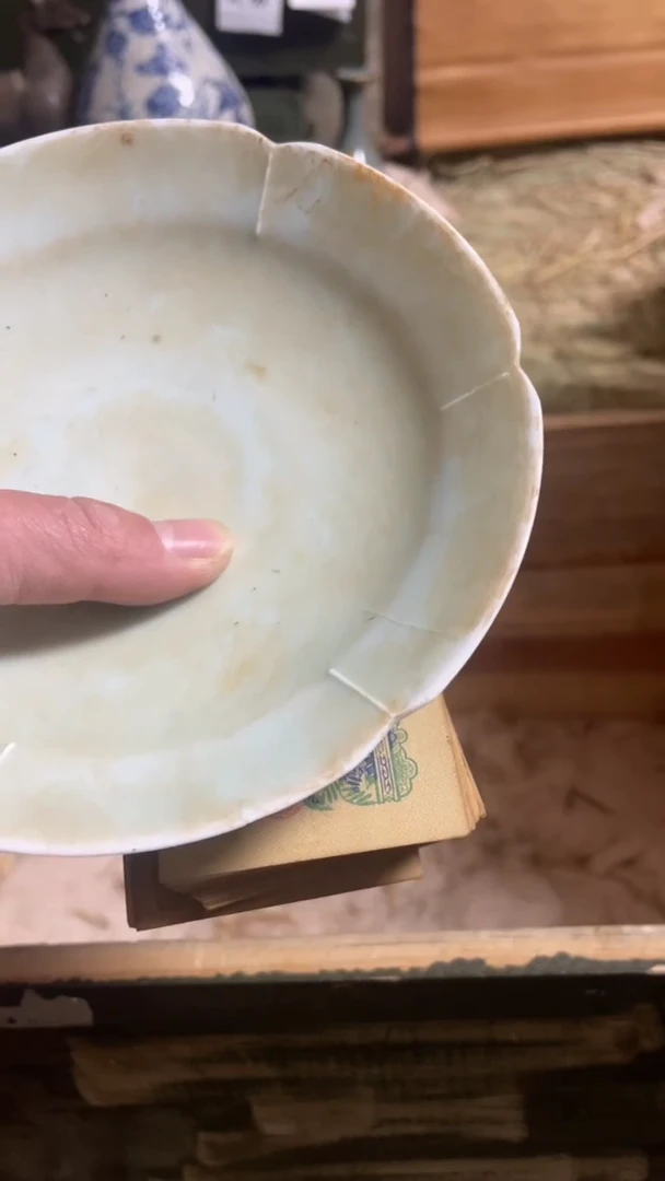 瓷片龙主播推荐好物