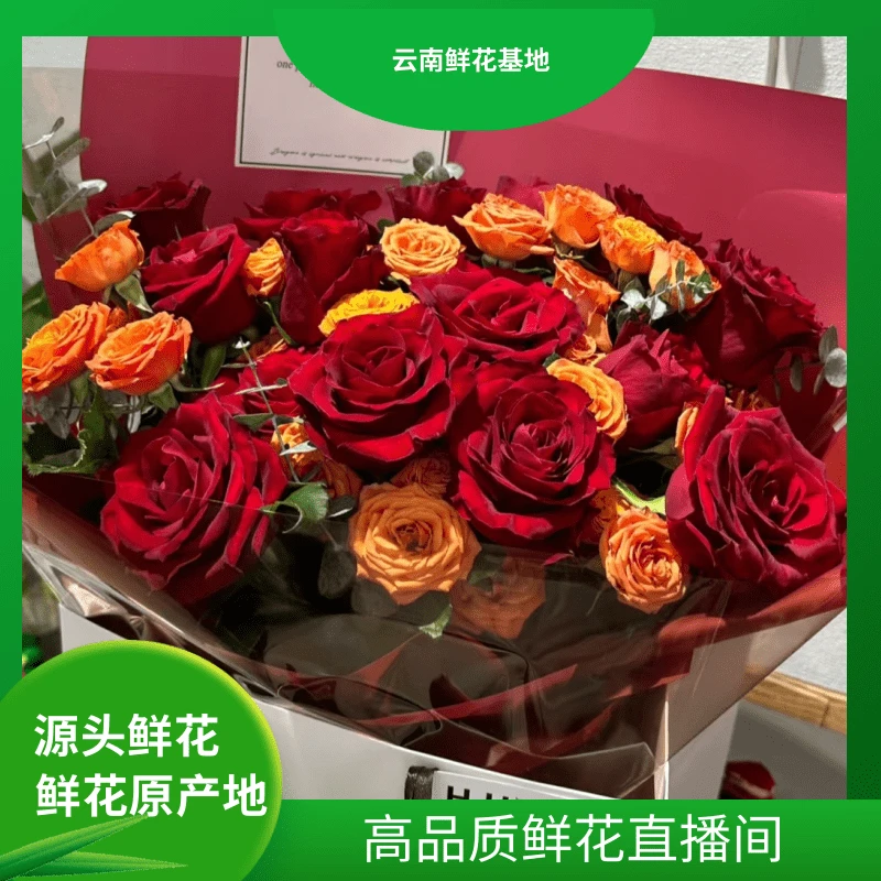 颜花【传奇+橙芭比】云南鲜花基地直发