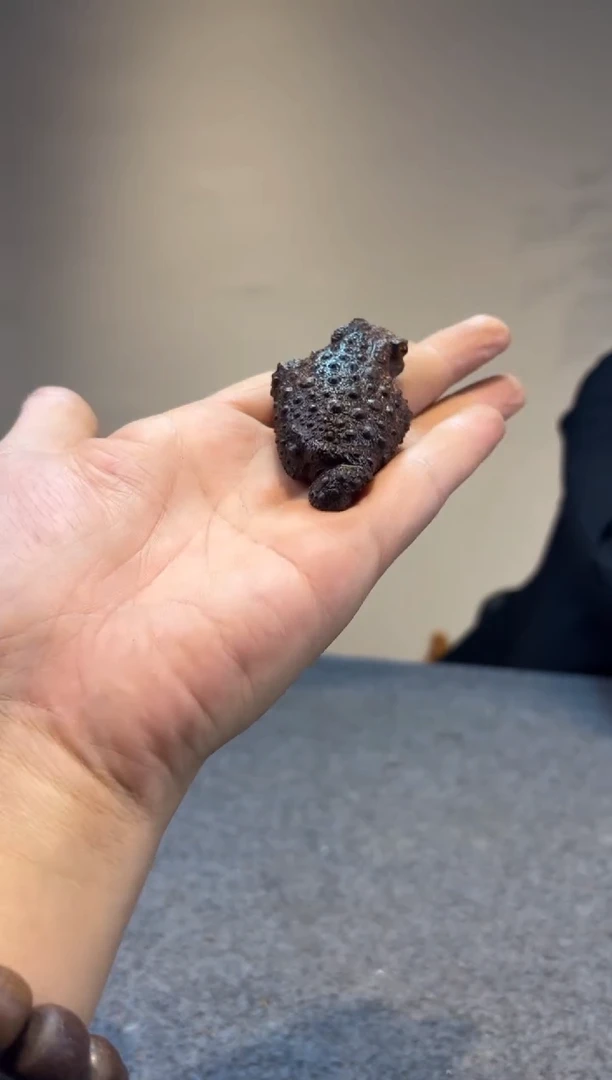 贡木孺*牛贡木贡木贡木